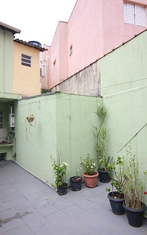 Casa à venda com 250m², 2 quartos e 1 vagaQuintal