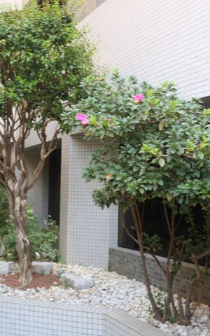 Apartamento à venda com 317m², 4 quartos e 3 vagasÁrea comum