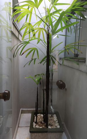 Casa para alugar com 302m², 3 quartos e 3 vagasÁrea comum - Salão de festas