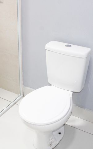 Casa para alugar com 75m², 1 quarto e 2 vagasBanheiro Social