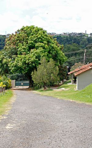 Casa para alugar com 75m², 1 quarto e 2 vagasÁrea comum