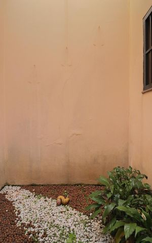 Casa à venda com 400m², 4 quartos e 5 vagasJardim de Inverno