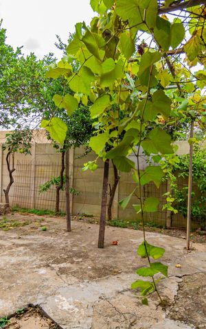 Casa à venda com 250m², 3 quartos e 4 vagas Casa à venda com 250m², 3 quartos e 4 vagasQuintal