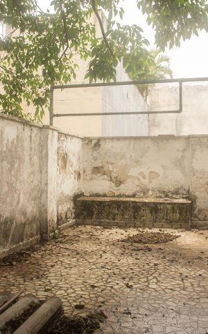 Casa à venda com 660m², 3 quartos e 3 vagasEdícula - Quintal