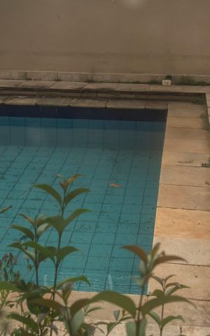 Casa à venda com 660m², 3 quartos e 3 vagasVista do Quarto 2
