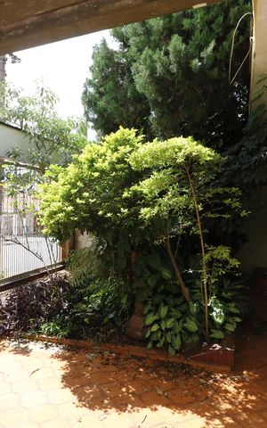 Casa à venda com 250m², 4 quartos e 2 vagasGaragem
