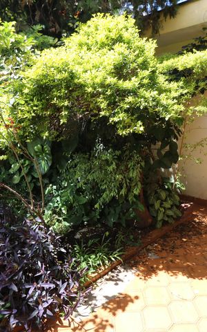 Casa à venda com 250m², 4 quartos e 2 vagasGaragem