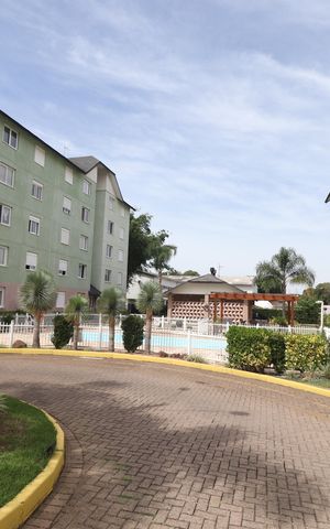 Apartamento à venda com 51m², 2 quartos e 1 vagaÁrea comum - Piscina