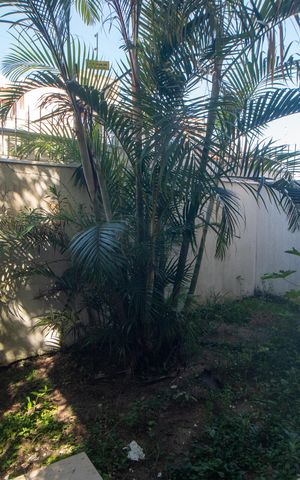 Casa à venda com 180m², 3 quartos e 2 vagas Casa à venda com 180m², 3 quartos e 2 vagasQuintal