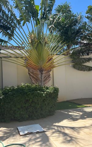 Casa de condomínio à venda com 252m², 4 quartos e 4 vagasPiscina