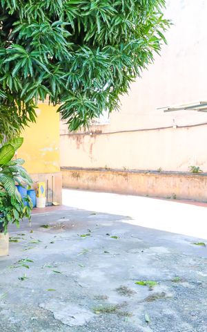 Casa à venda com 732m², 8 quartos e 8 vagasQuintal