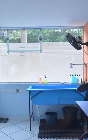 Apartamento à venda com 56m², 3 quartos e 1 vagaÁrea comum