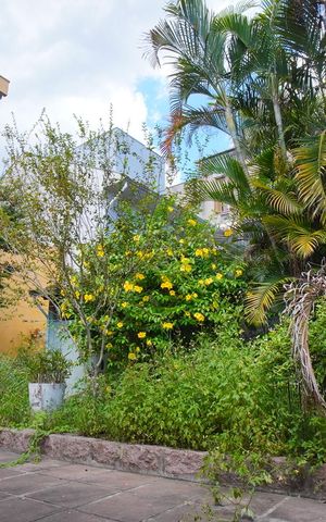 Casa à venda com 330m², 5 quartos e 4 vagasQuintal - Fundos