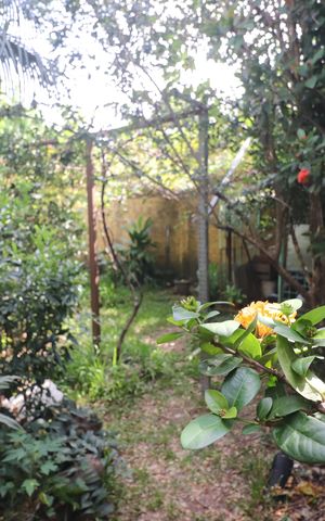 Casa à venda com 130m², 2 quartos e 3 vagasJardim