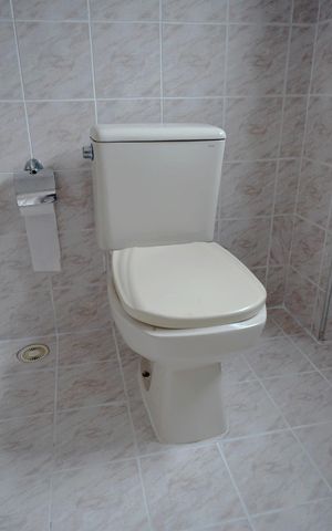 Apartamento à venda com 54m², 1 quarto e sem vagaBanheiro