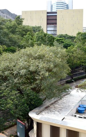 Studio à venda com 25m², 1 quarto e sem vagaVista da Varanda