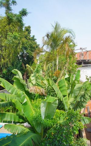 Casa à venda com 300m², 4 quartos e 2 vagasQuarto 2 - Vista