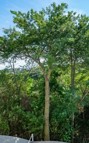 Apartamento à venda com 55m², 2 quartos e 1 vagaVaranda da Sala