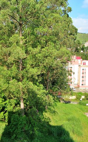 Apartamento para alugar com 48m², 2 quartos e 1 vagaQuarto 2 Vista
