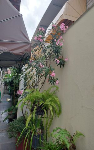 Casa à venda com 100m², 3 quartos e 2 vagas Casa à venda com 100m², 3 quartos e 2 vagasEntrada lateral
