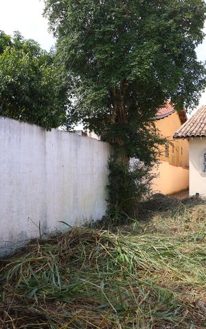 Casa à venda com 400m², 4 quartos e 6 vagasQuintal
