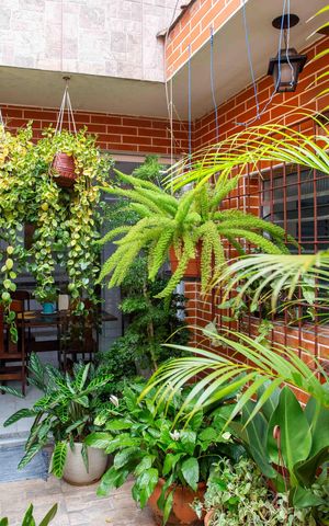 Casa para alugar com 250m², 3 quartos e 3 vagasJardim de Inverno