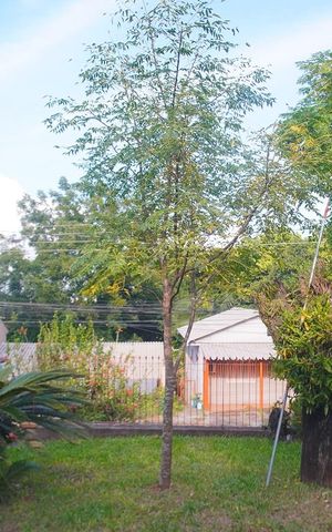 Casa à venda com 100m², 3 quartos e 1 vaga Casa à venda com 100m², 3 quartos e 1 vagaVista da Sala
