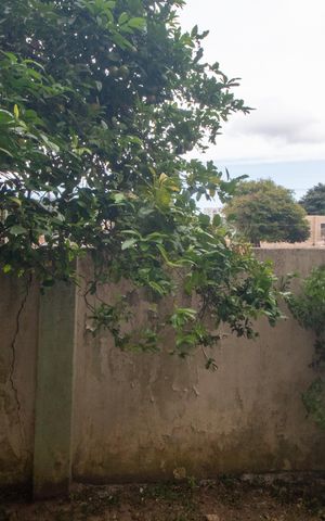 Apartamento à venda com 67m², 2 quartos e sem vagaVista