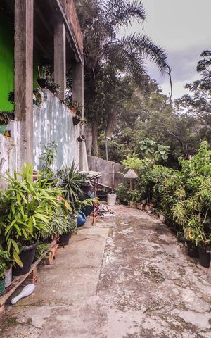 Casa para alugar com 240m², 3 quartos e 1 vaga Casa para alugar com 240m², 3 quartos e 1 vagaPátio