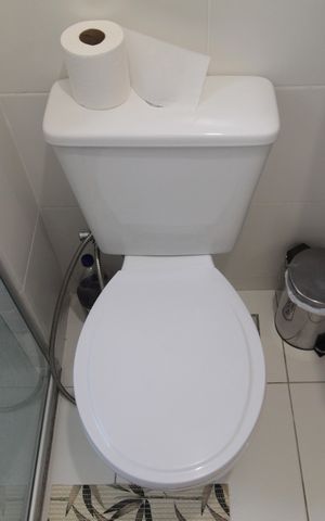 Apartamento à venda com 57m², 2 quartos e 1 vagaBanheiro da Suite