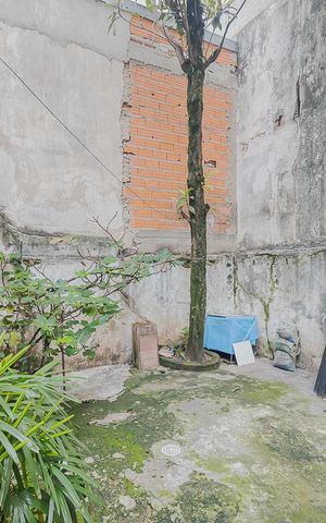 Casa para alugar com 240m², 3 quartos e 2 vagasQuintal