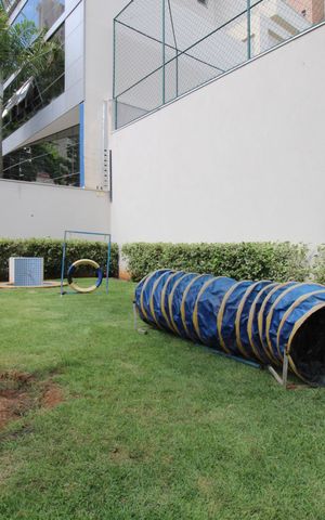 Apartamento à venda com 81m², 2 quartos e 1 vagaÁrea comum - Espaço pet