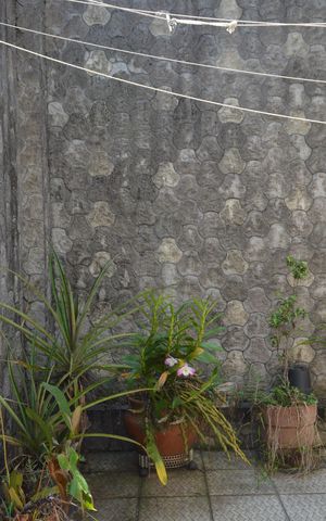 Casa à venda com 150m², 4 quartos e 2 vagasQuintal