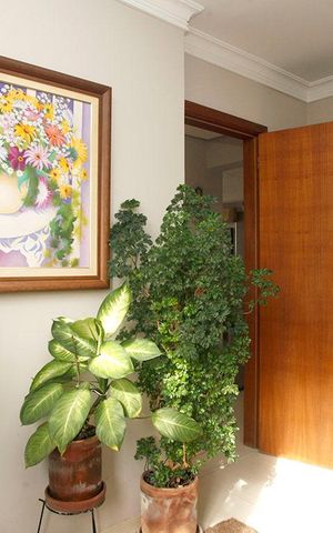 Apartamento à venda com 62m², 2 quartos e 1 vagaQuarto 2