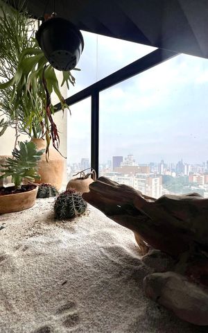 Apartamento à venda com 66m², 1 quarto e 2 vagasDetalhe da sala