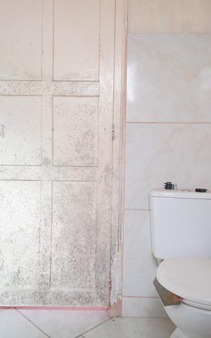 Casa para alugar com 180m², 2 quartos e 3 vagasBanheiro 1
