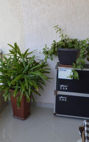 Apartamento à venda com 62m², 2 quartos e 1 vaga Apartamento à venda com 62m², 2 quartos e 1 vagaVaranda