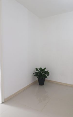Casa à venda com 375m², 5 quartos e 3 vagasCorredor