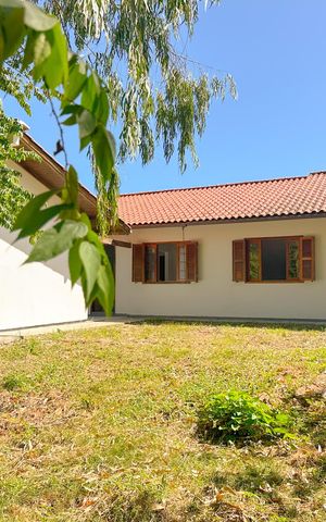 Casa para alugar com 691m², 4 quartos e 3 vagasQuintal