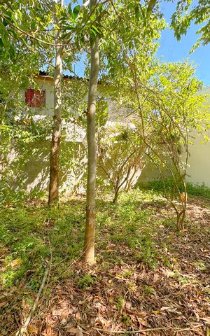 Casa para alugar com 691m², 4 quartos e 3 vagasQuintal