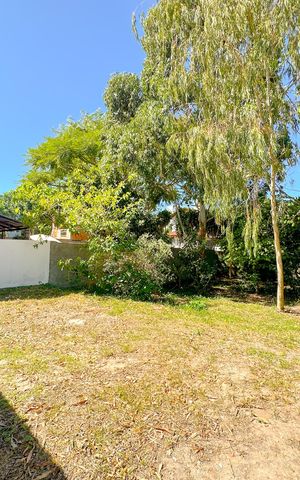 Casa para alugar com 691m², 4 quartos e 3 vagasQuintal
