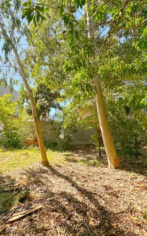 Casa para alugar com 691m², 4 quartos e 3 vagasQuintal