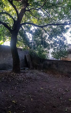 Casa à venda com 101m², 3 quartos e 2 vagasQuintal