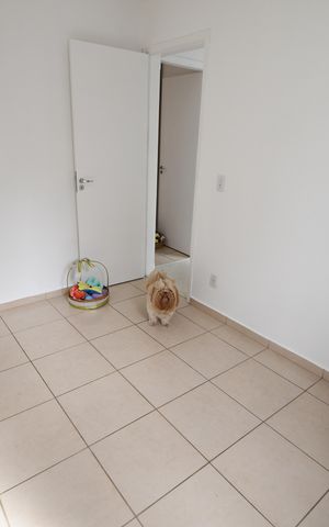 Apartamento à venda com 47m², 2 quartos e 1 vagaQuarto 2