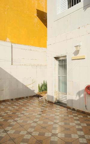 Casa à venda com 255m², 4 quartos e 2 vagasQuintal