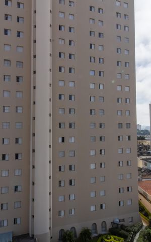 Apartamento à venda com 74m², 3 quartos e 1 vaga Apartamento à venda com 74m², 3 quartos e 1 vagaVista do Quarto 1