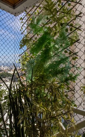 Apartamento à venda com 74m², 3 quartos e 1 vaga Apartamento à venda com 74m², 3 quartos e 1 vagaSacada
