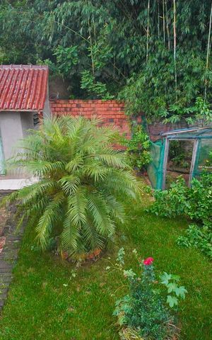 Casa à venda com 130m², 2 quartos e 3 vagasVista do Quarto 2