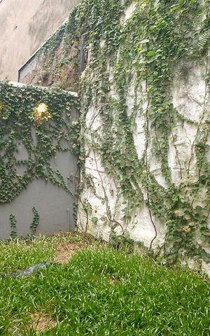 Casa à venda com 450m², 3 quartos e 1 vagaÁrea comum