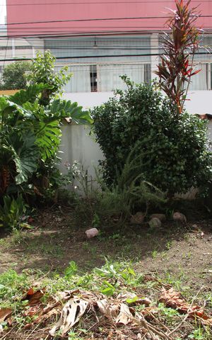 Casa à venda com 492m², 2 quartos e 5 vagasQuintal da frente